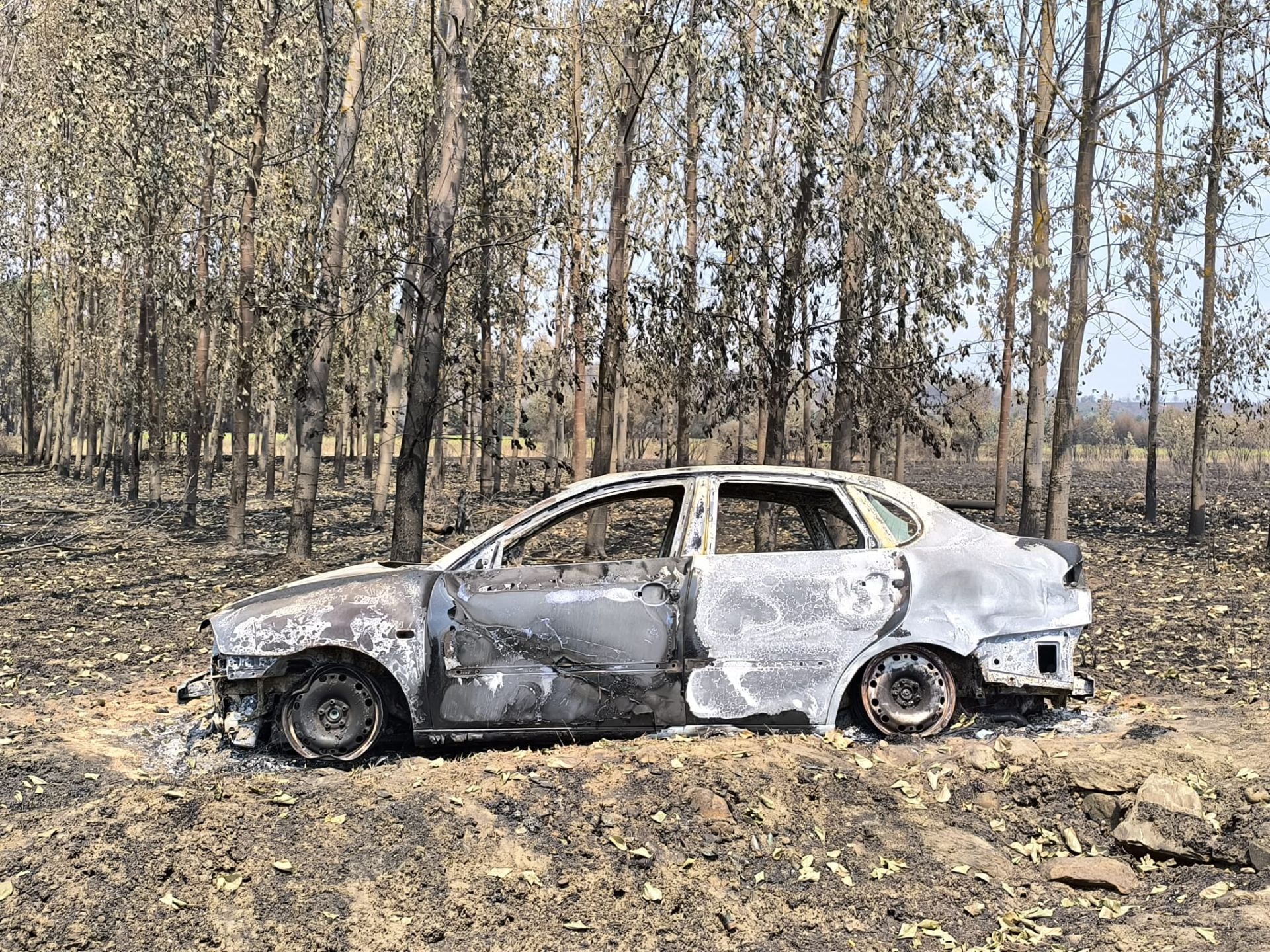 Así ha quedado Quintana y Congosto, un pueblo de León, tras los incendios