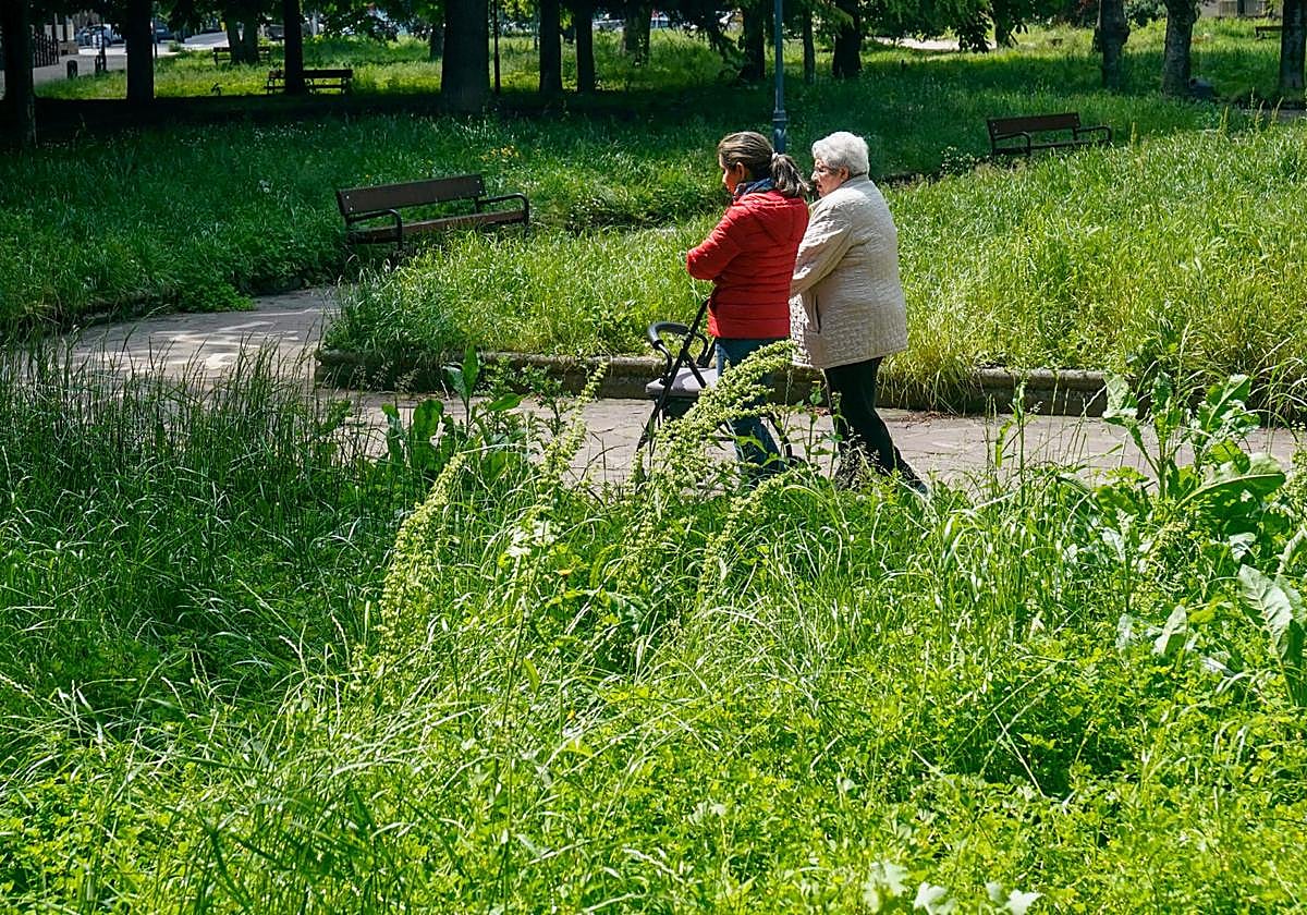 Los jardineros de Vitoria en huelga tachan de «irresponsable» al Ayuntamiento