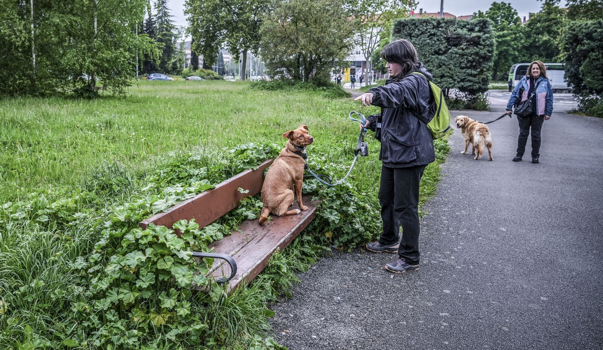 El mal estado de los bancos de Vitoria