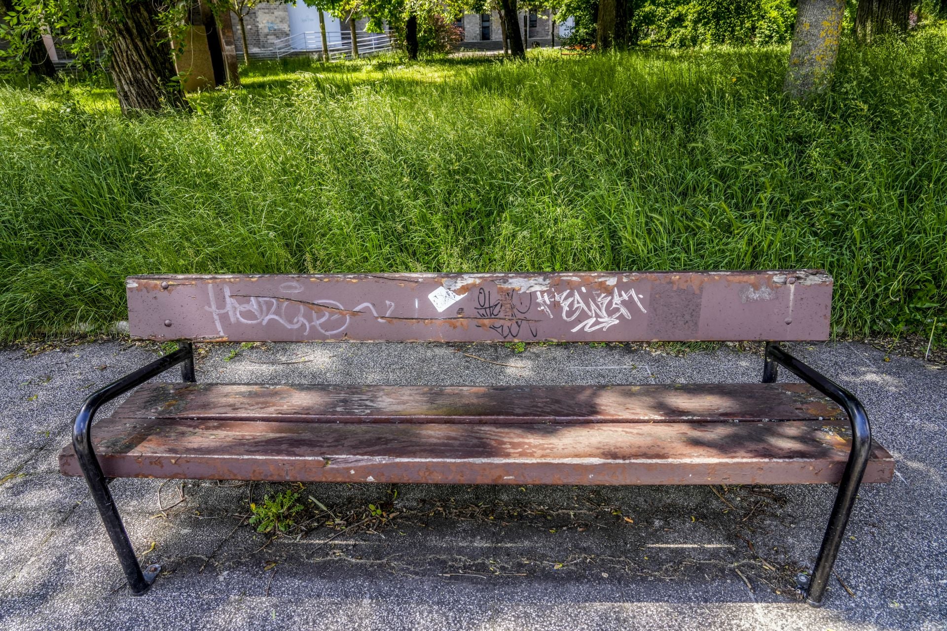 El mal estado de los bancos de Vitoria