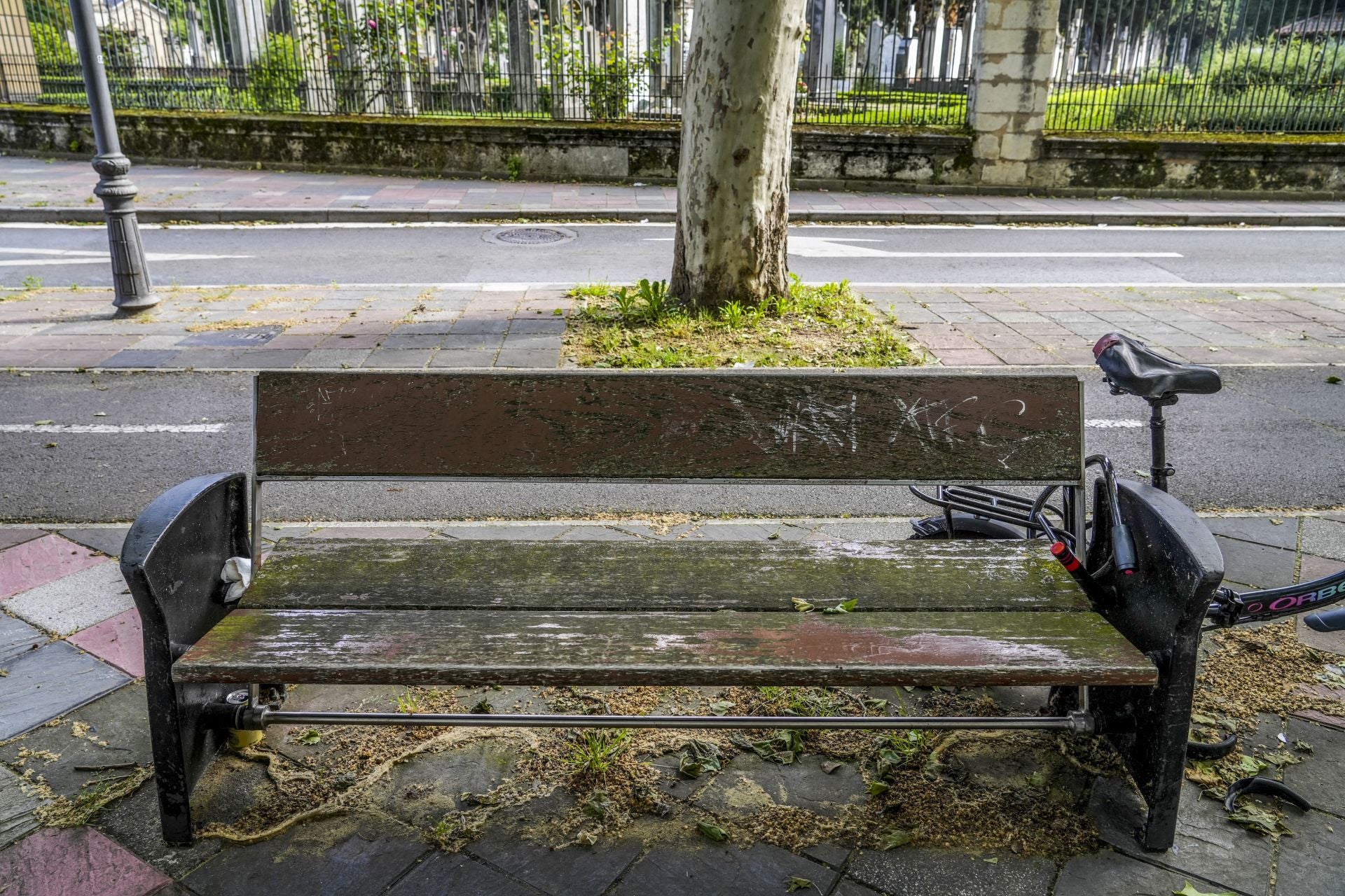 El mal estado de los bancos de Vitoria