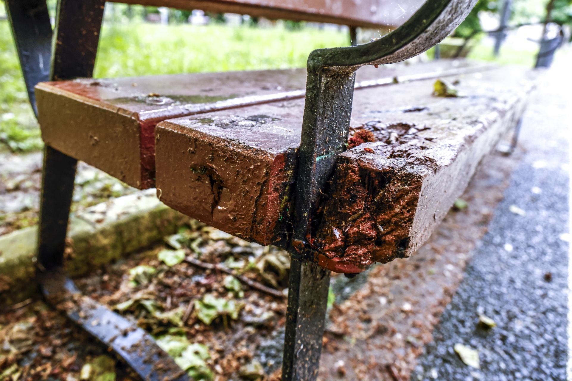 El mal estado de los bancos de Vitoria