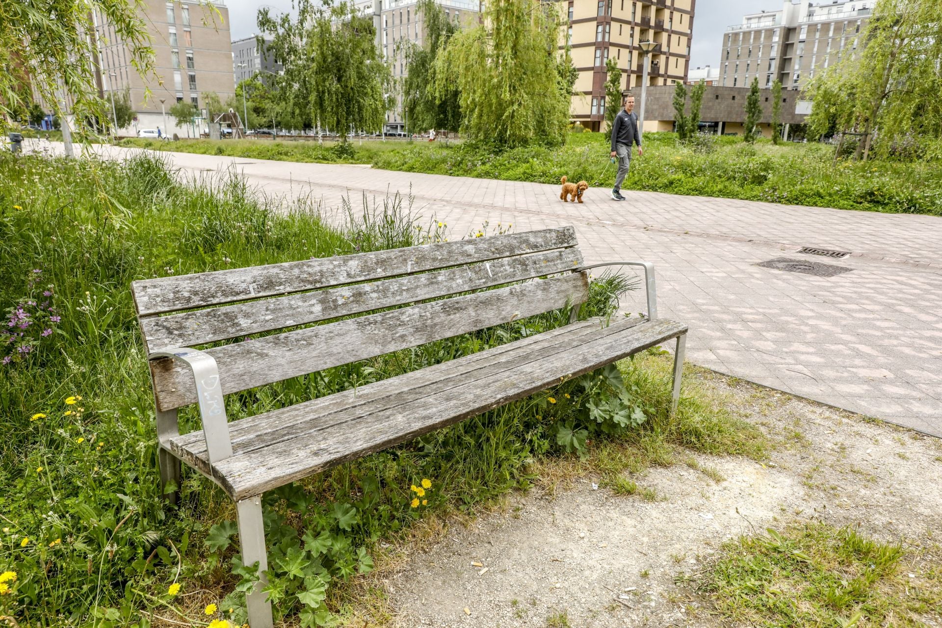 El mal estado de los bancos de Vitoria