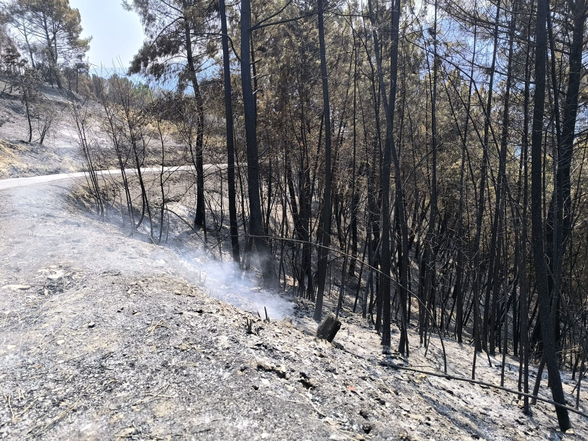 Las imágenes de la &#039;aldea vasca&#039; arrasada por el fuego en Ourense