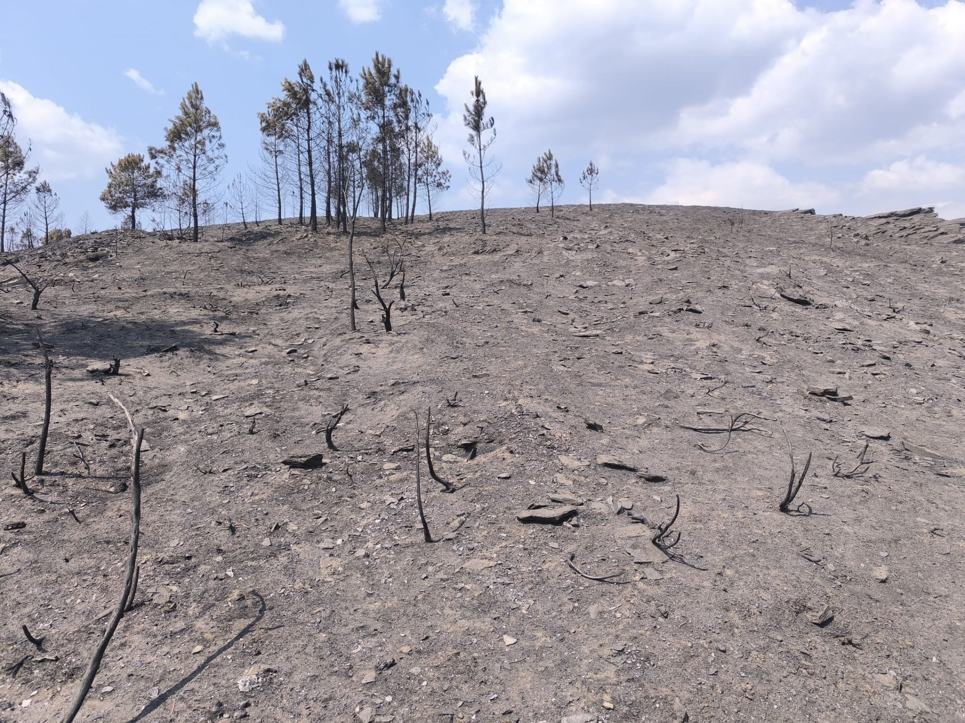 Las imágenes de la &#039;aldea vasca&#039; arrasada por el fuego en Ourense