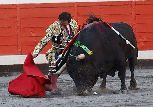 Saúl Fortes, rodilla en tierra, ofreció capotazos que fueron dignos de mejor suerte.