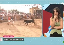 Una vaquilla embiste a un reportero de ETB en directo durante las fiestas de Sesma