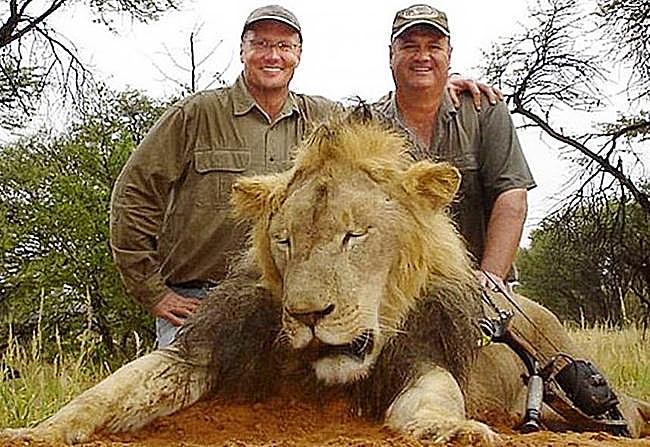 El cazador Walter James Palmer posa con el cuerpo del león Cecil