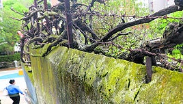 La utilización de vallas con pinchos y muros con cristales ha sido habitual en viviendas de las zonas más rurales de Getxo.
