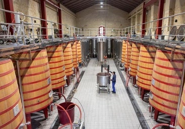 Marqués de Riscal pagará 1,60 por kilo en las viñas anteriores a 1970 y hasta 3,4 en las 'patas negras'