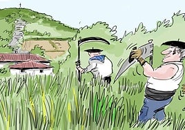 La viñeta de Cerrajería sobre el estado de las campas para la romería de Olárizu