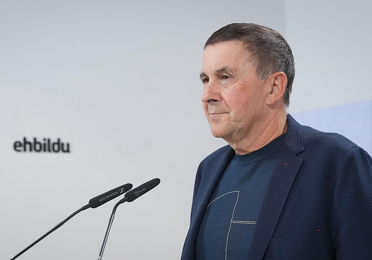 El secretario general de EH Bildu, Arnaldo Otegi.