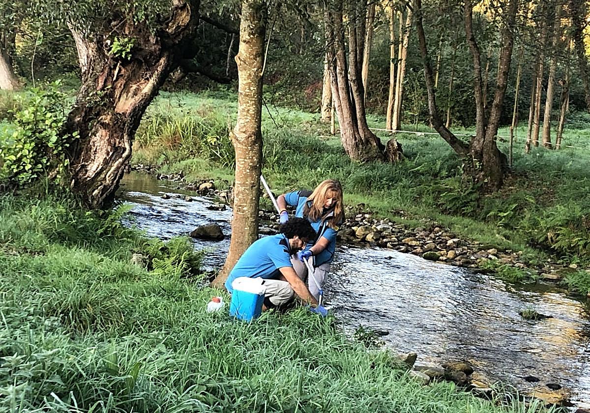 Unos técnicos toman muestras en un río.