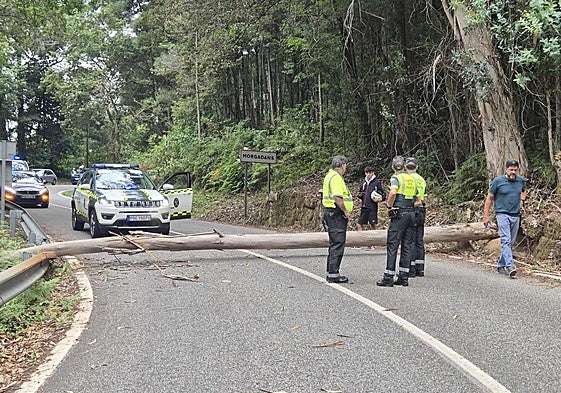 El segundo corte por protestas palestinas pone en jaque el futuro de La Vuelta