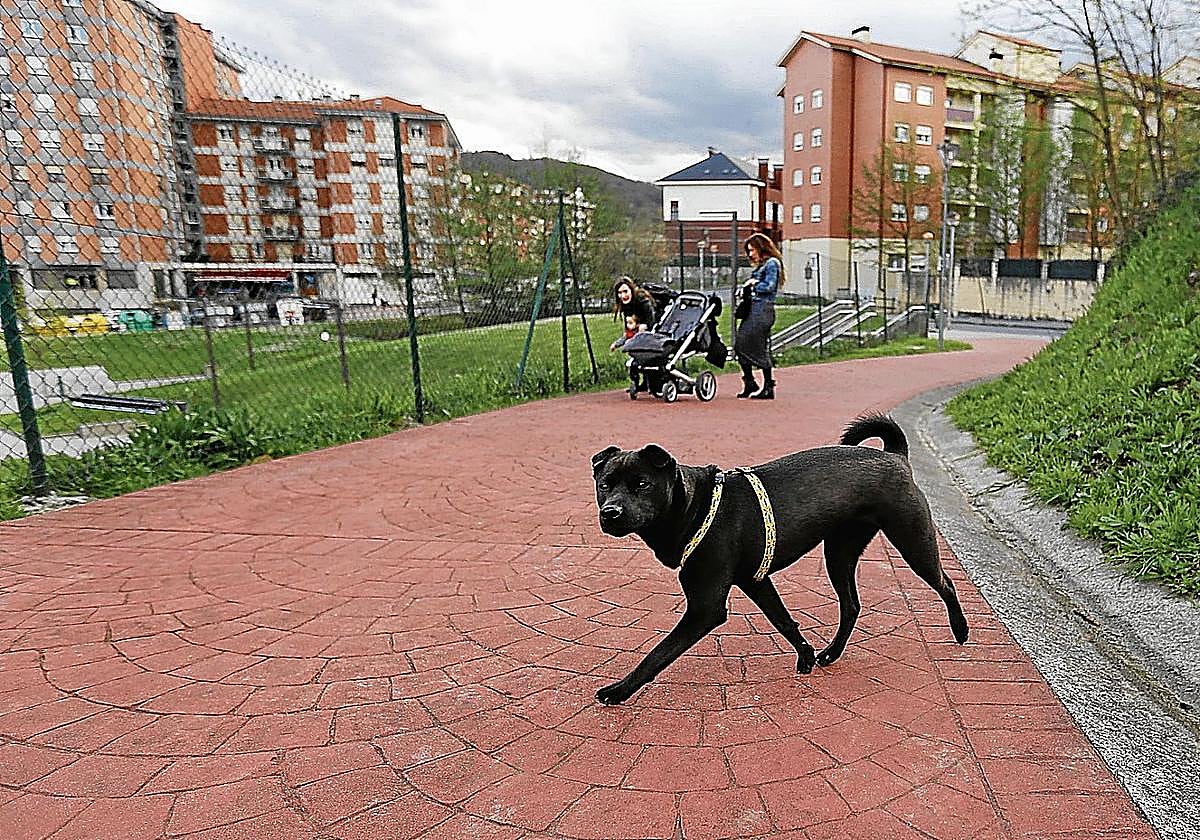 La ordenanza fue publicada en la página web municipal el pasado jueves 4 de septiembre.
