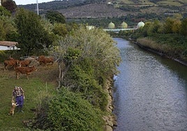 Vista del río Barbadun a su paso por Muskiz, fotografía de archivo.