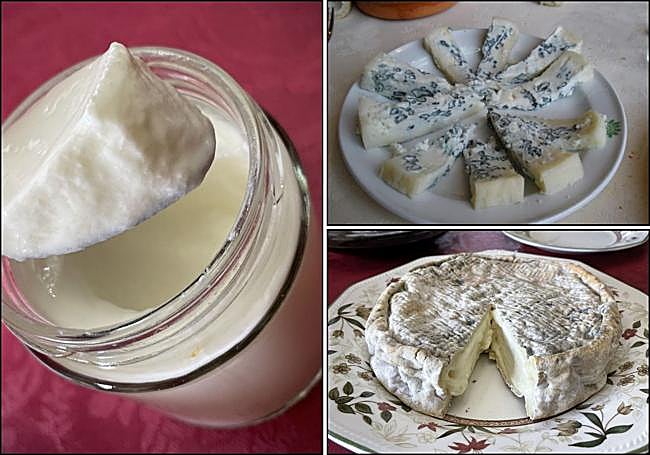 Cremoso. La pasta blanda fue la gran especialidad de Ibar, abriendo posibilidades en el sector.