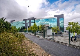 Mercedes ha invertido 70.000 euros en acondicionar caminos y mobiliario para el quejigal