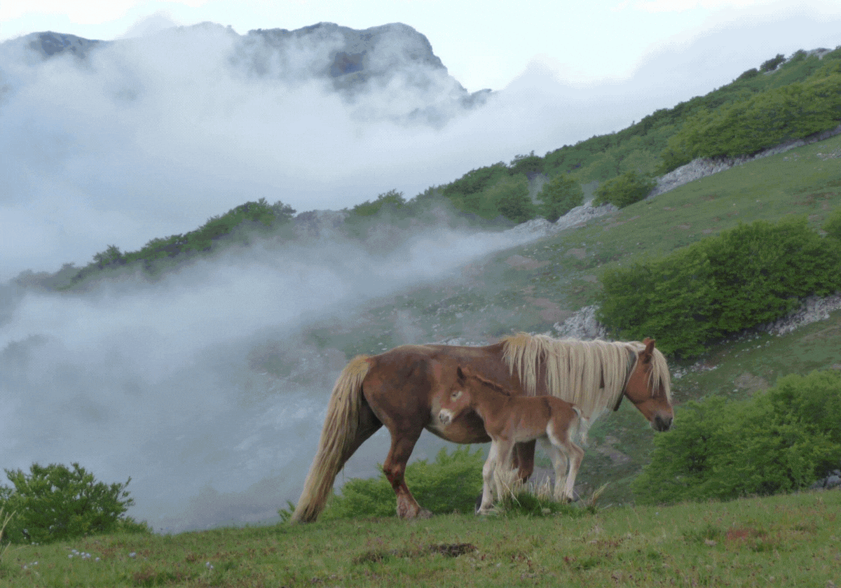 Un septiembre para perderse en el parque de Gorbeia: rutas, visitas a cuevas, baserris...