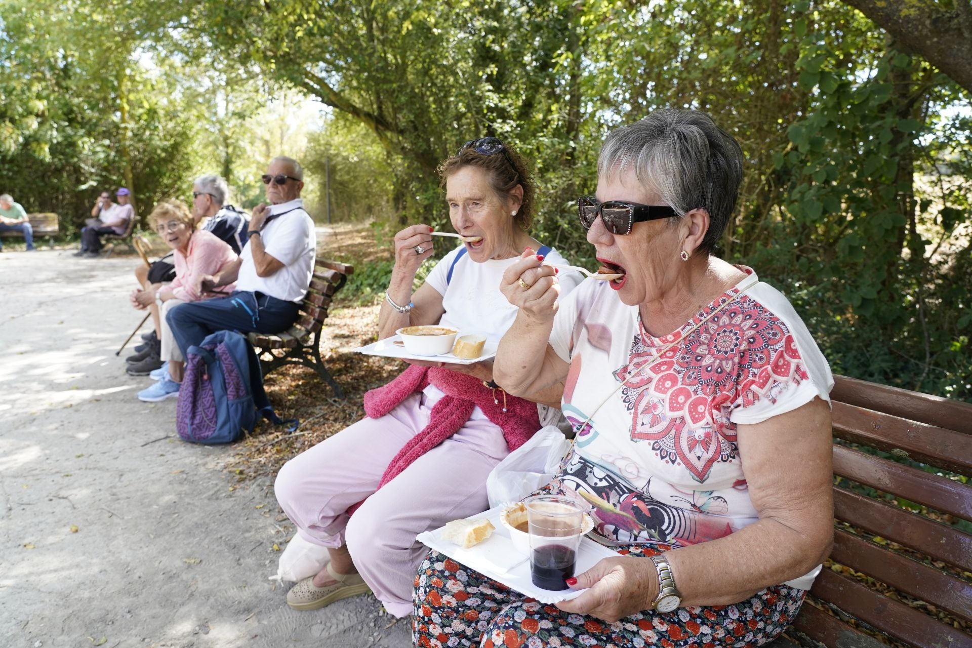 Las imágenes de la Romería de Olárizu