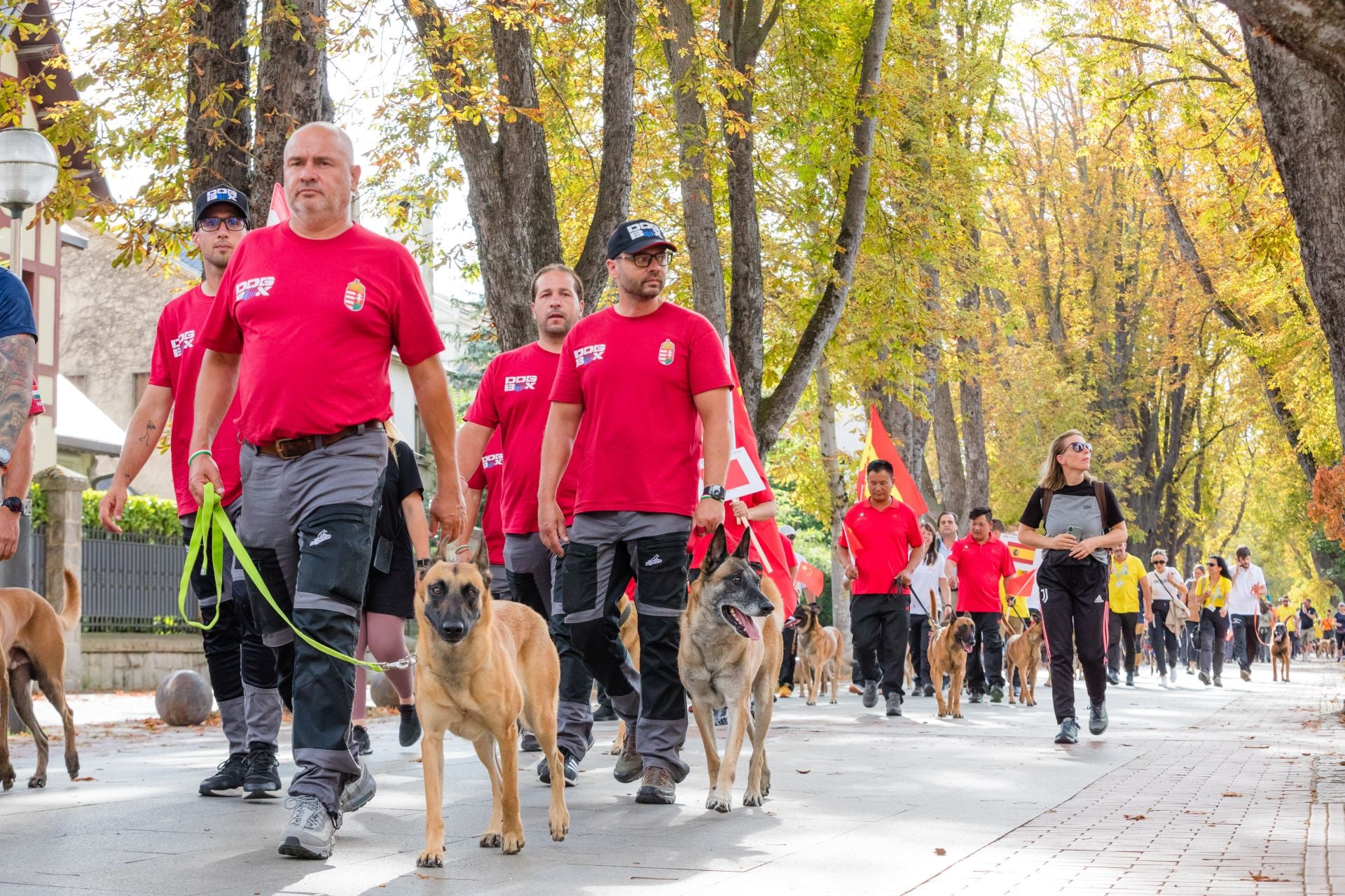 Las imágenes del Mundial canino en Vitoria