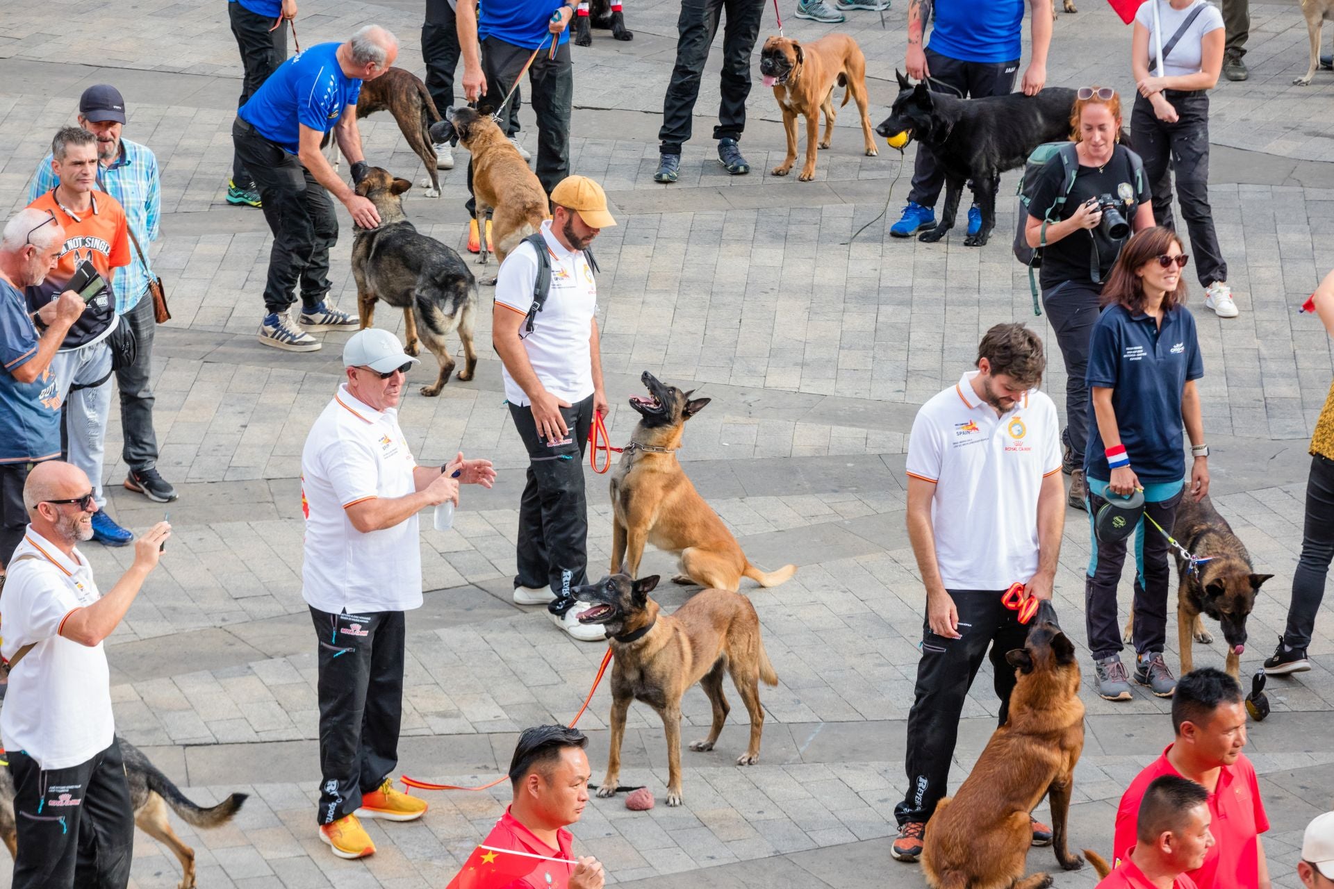 Las imágenes del Mundial canino en Vitoria