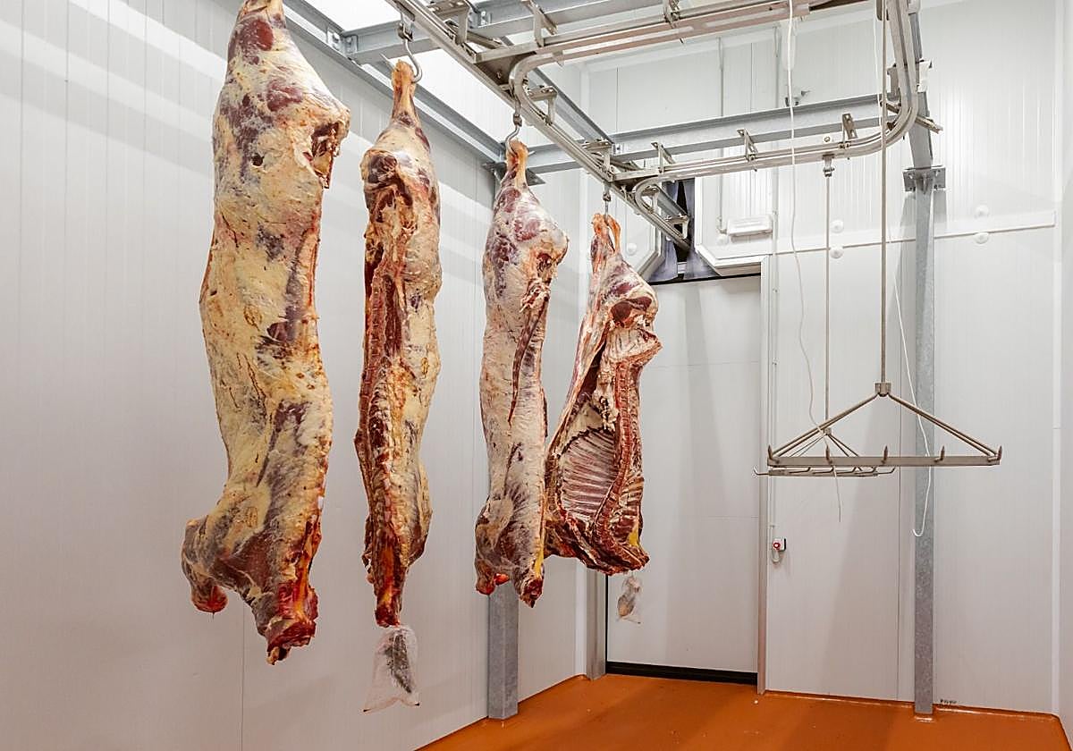 La filosofía de cerrar el ciclo se basa en aunar todos los procesos.