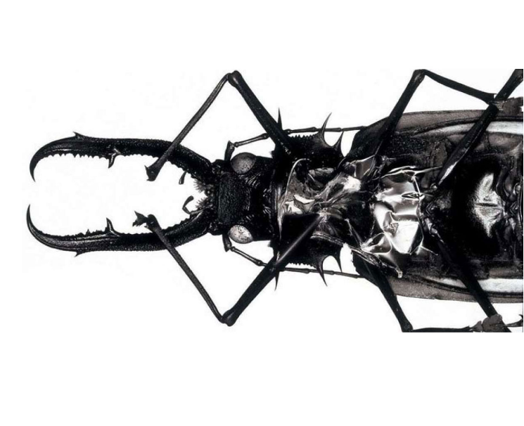 'Mezzanine', el álbum icónico de Massive Attack, el primer grupo grande en boicotear a Spotify