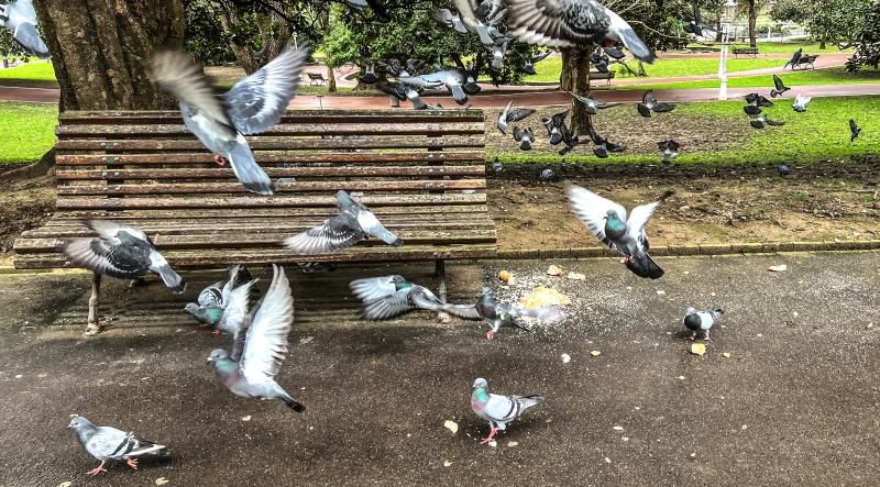 Furia en Madrid, aburrimiento aquí