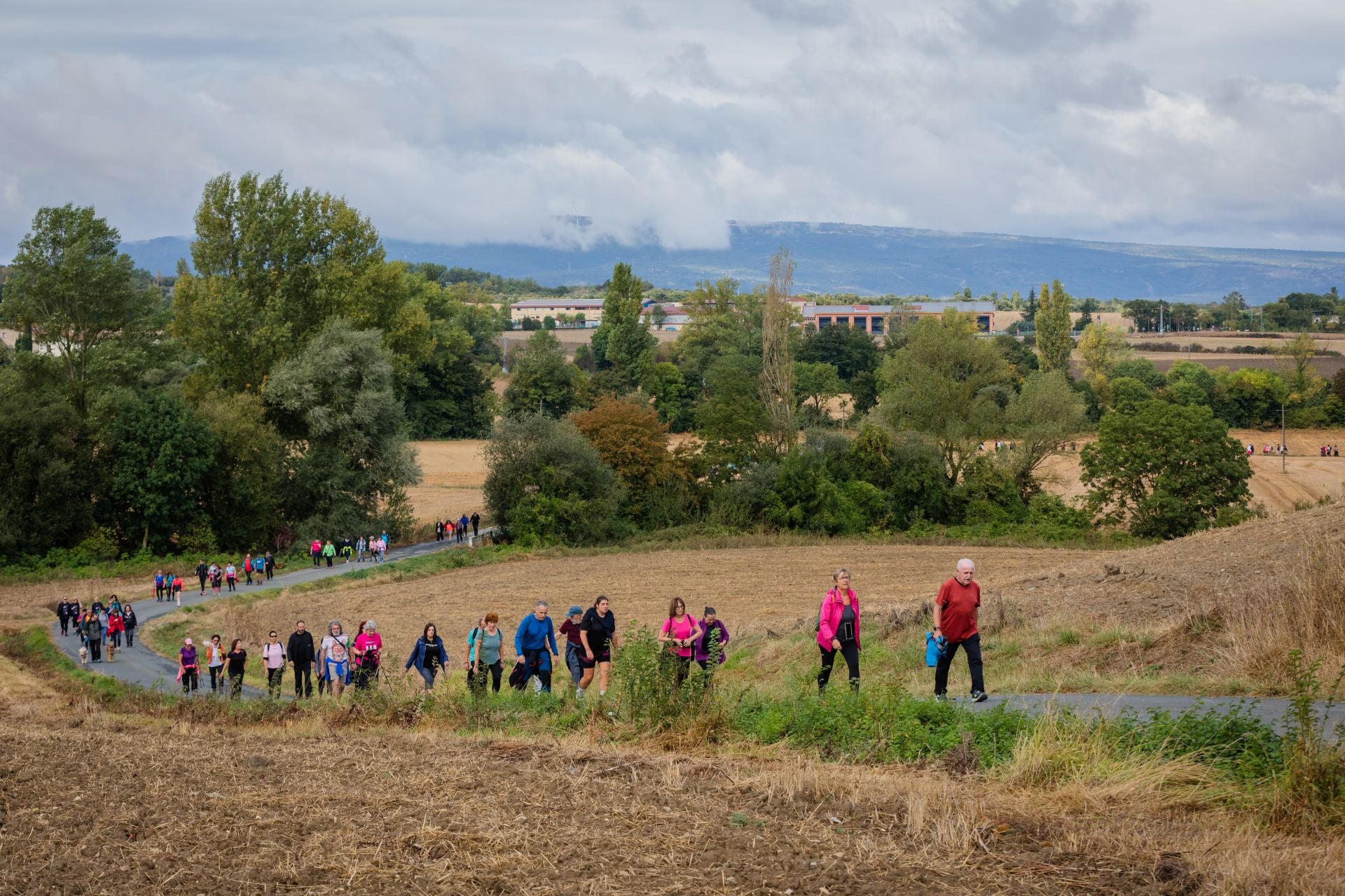 XII Marcha Solidaria Green de EL CORREO