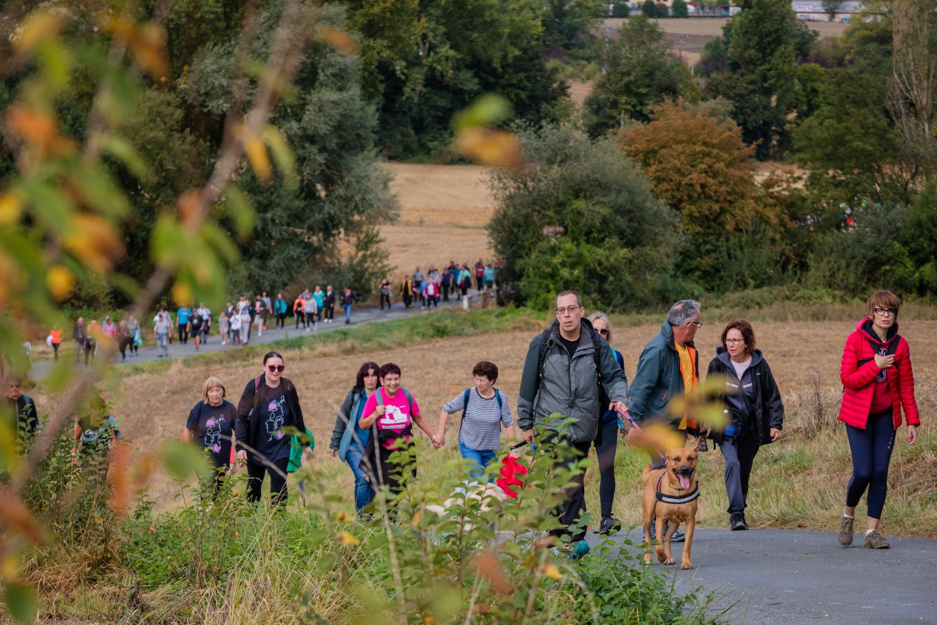 XII Marcha Solidaria Green de EL CORREO