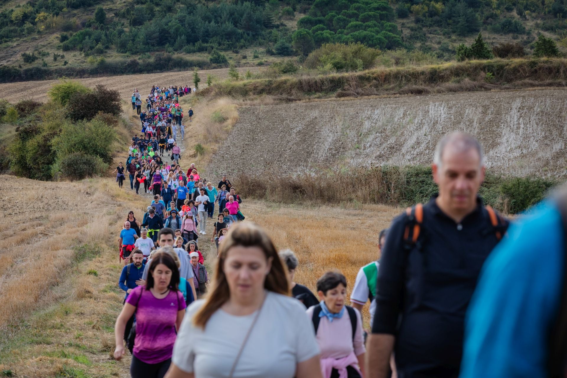 XII Marcha Solidaria Green de EL CORREO