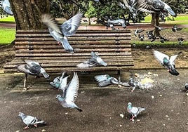 Furia en Madrid, aburrimiento aquí