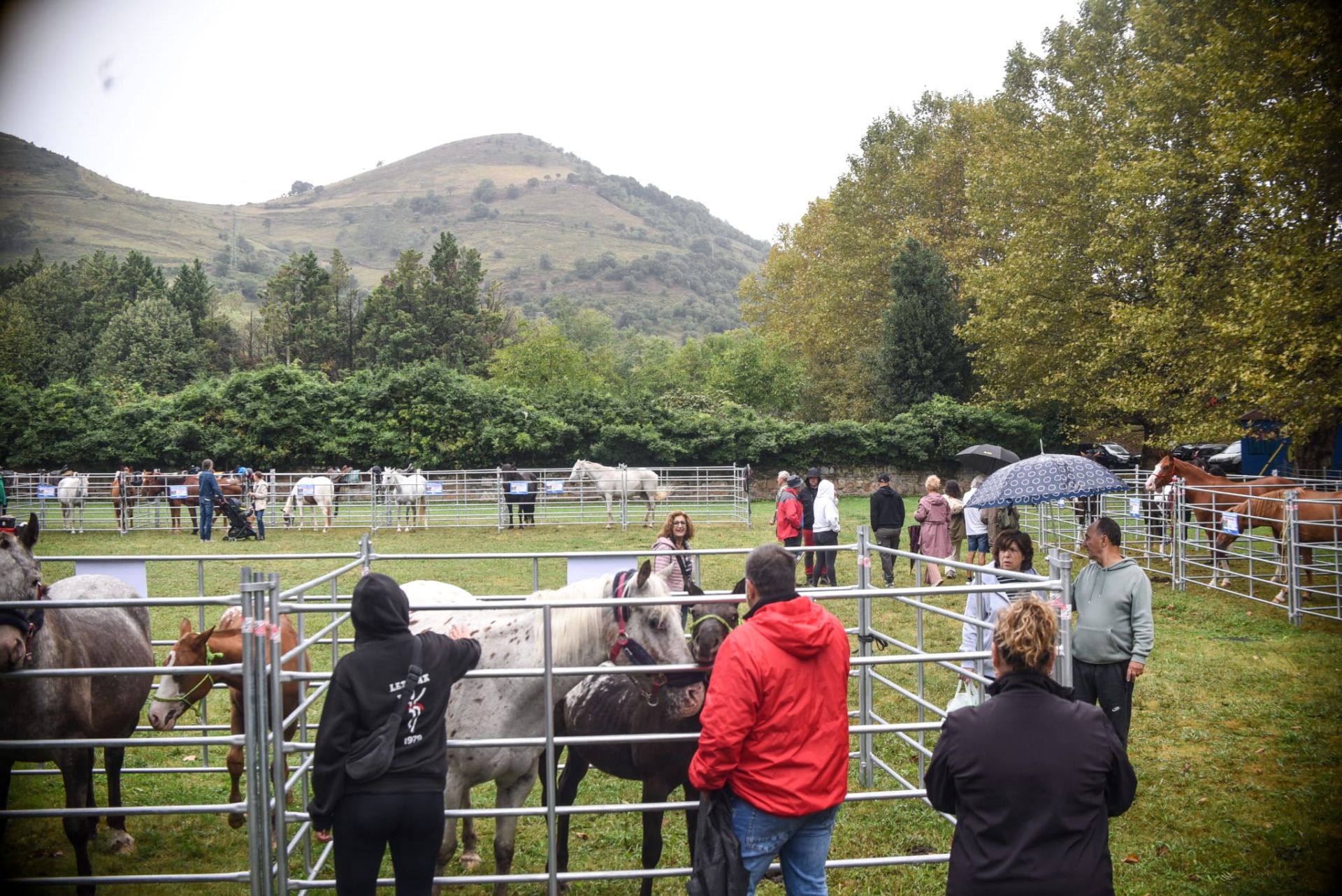 Lo mejor del agro vasco se cita en la Feria Agrícola y Ganadera de Muskiz