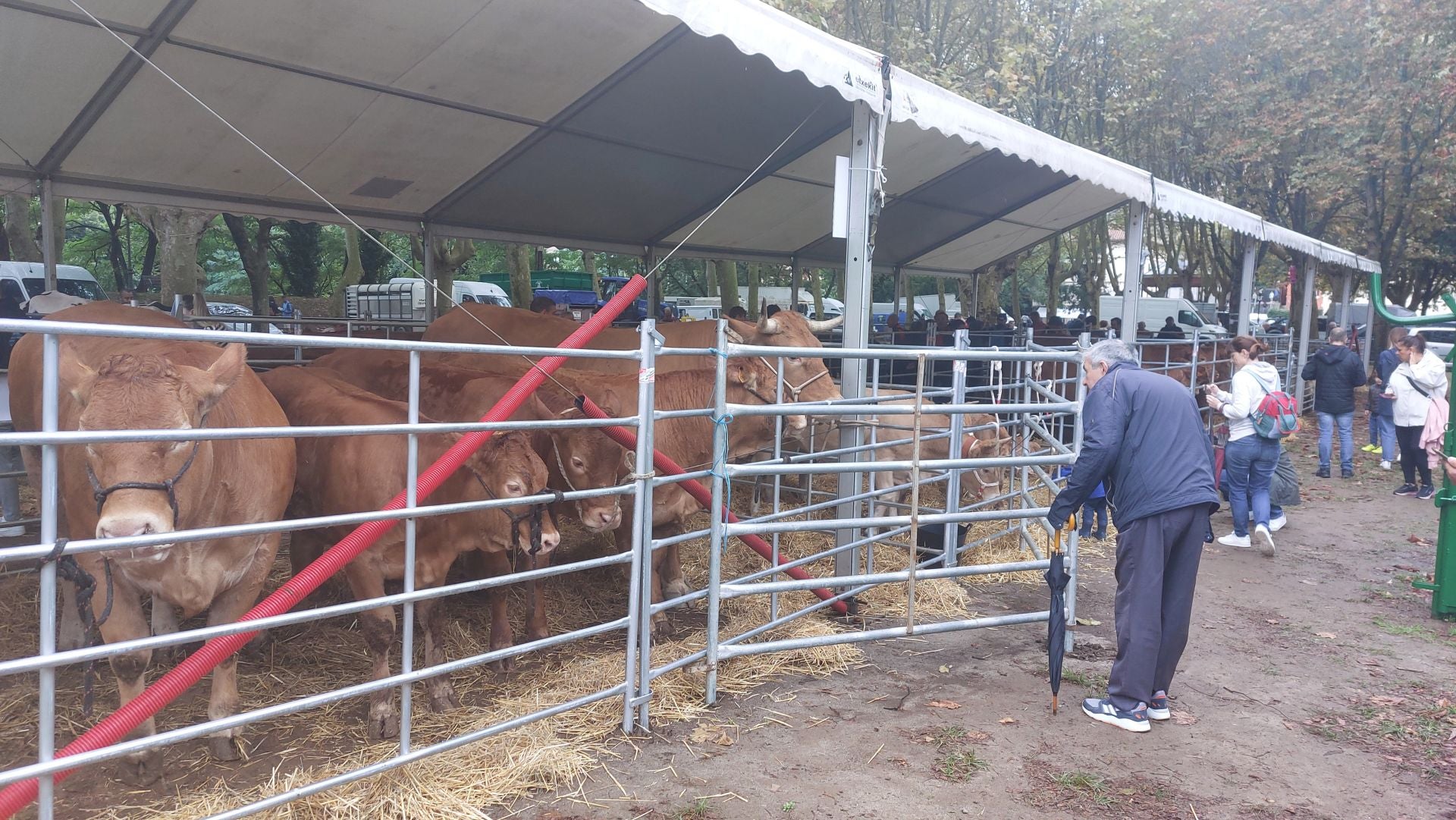 La feria agrícola de Muskiz en imágenes