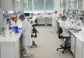 Trabajadores en las instalaciones de i+Med, en el parque tecnológico de Álava.