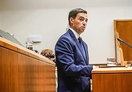 Imanol Pradales, en el Pleno de Política General.