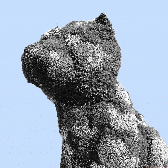 38.000 plantas, 30 operarios... Puppy se prepara para vestirse de otoño