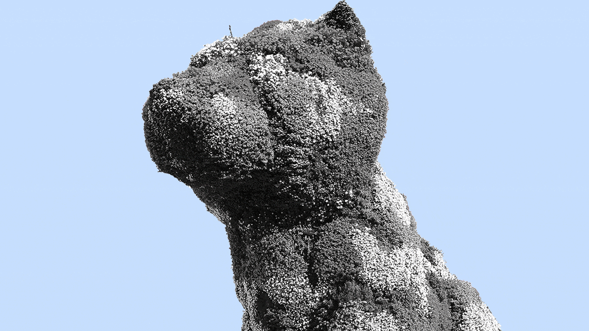 38.000 plantas, 30 operarios... Puppy se prepara para vestirse de otoño