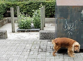 La difusión de estos expedientes busca concienciar y mejorar la convivencia entre el conjunto de etxebarritarras.