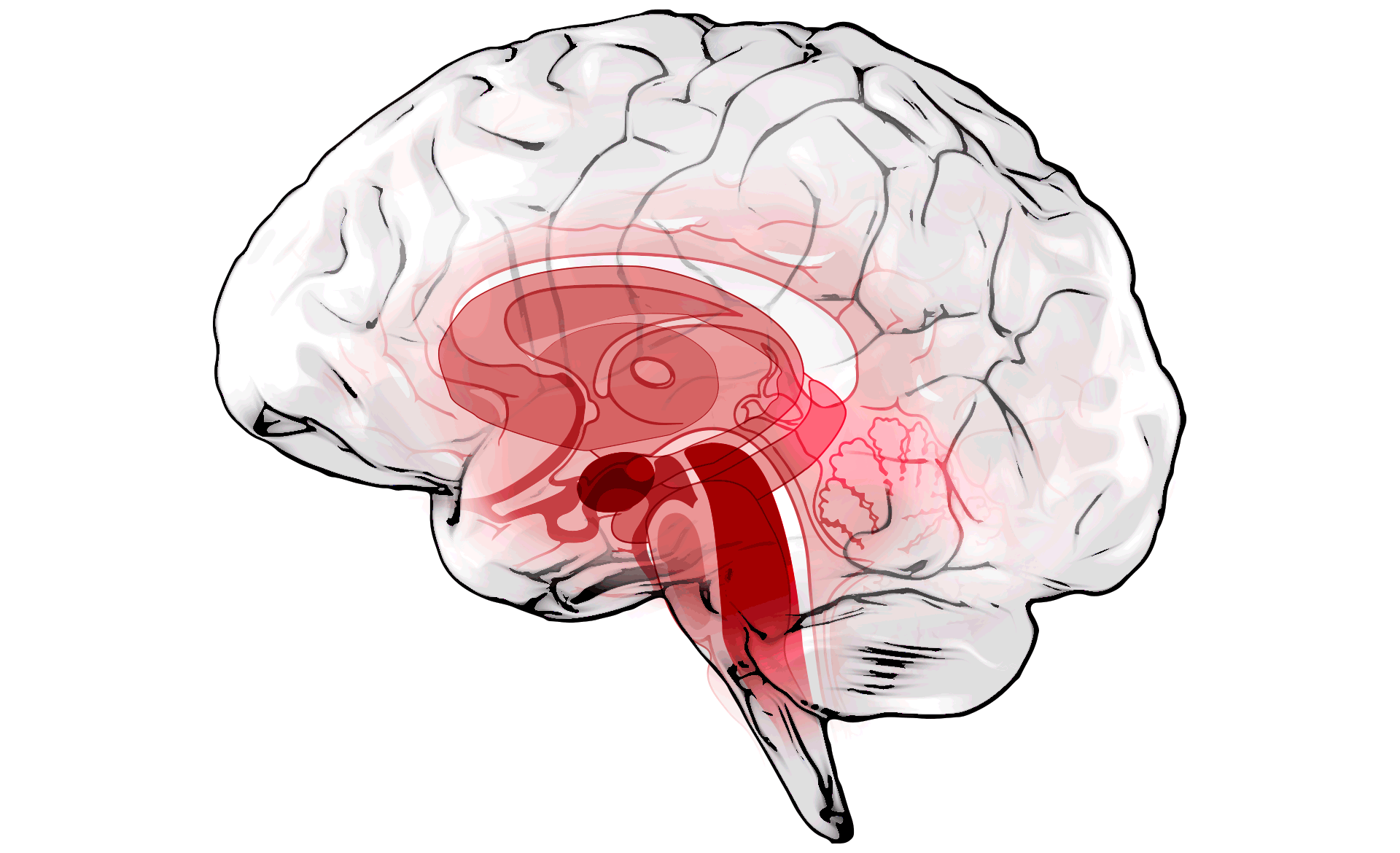 Scroll Story imagen 5