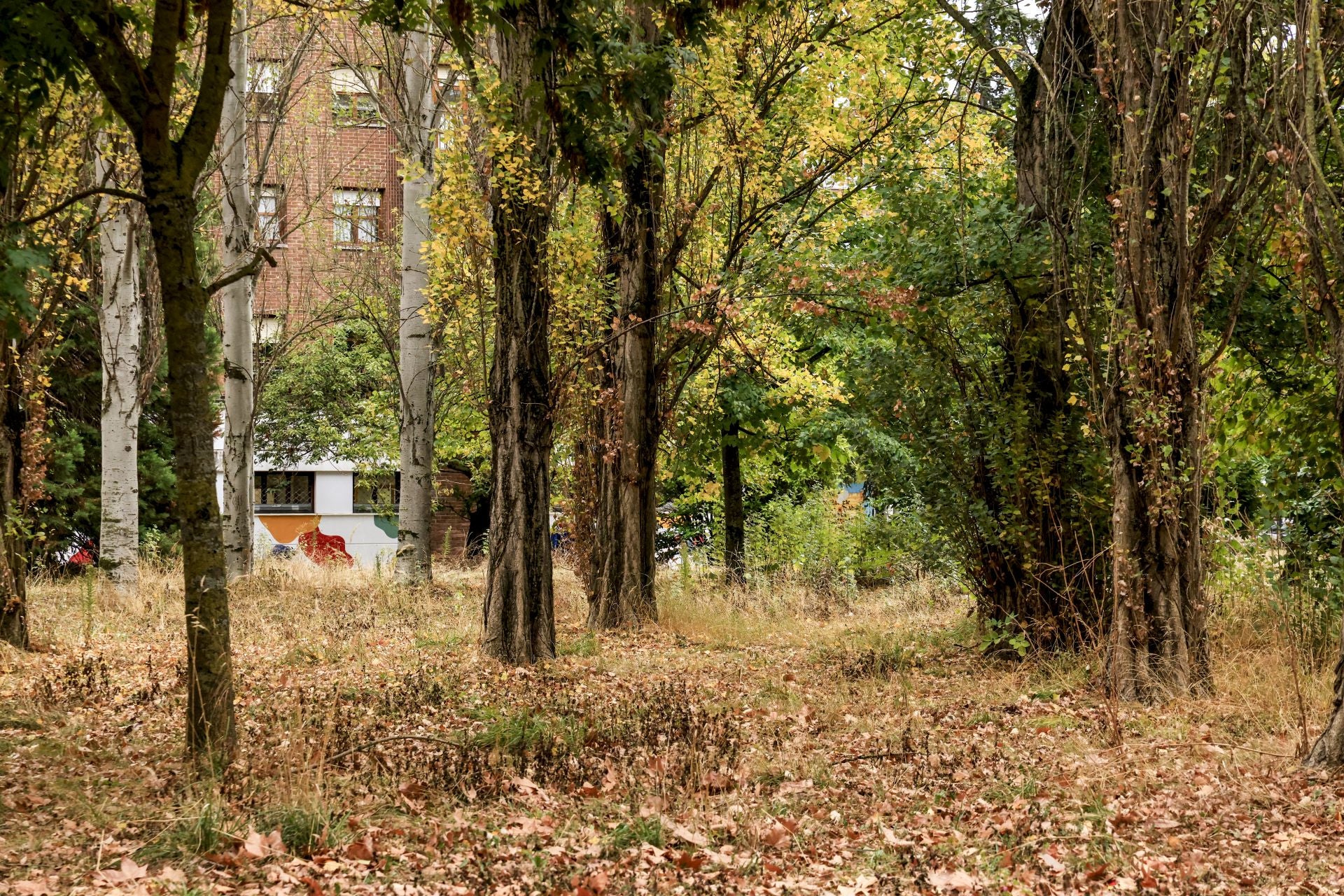 La huelga de jardineros de Vitoria alcanza el medio año con la solución del conflicto «aún lejana»