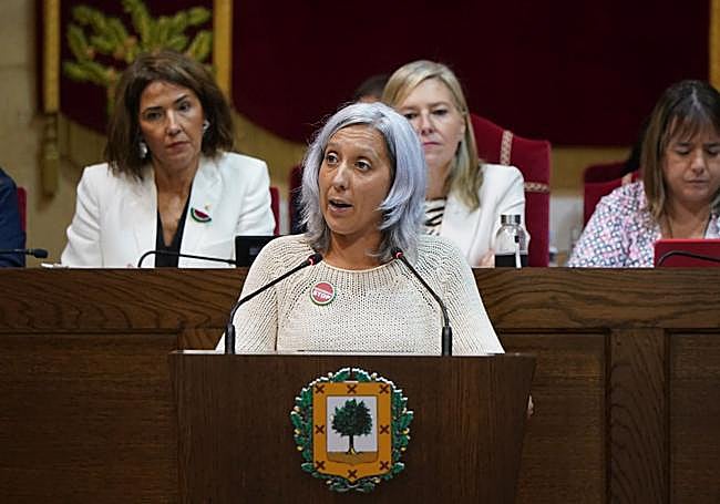 Eneritz de Madariaga, portavoz de Elkarrekin Bizkaia.