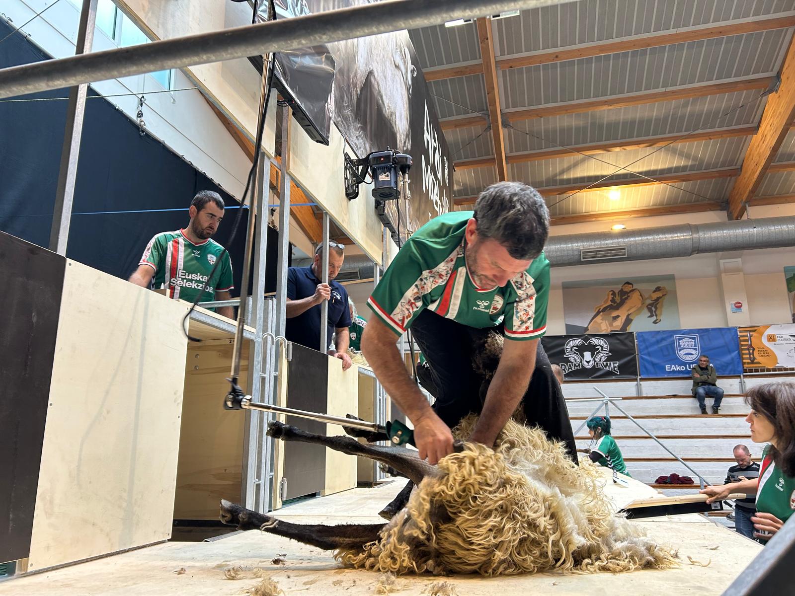 Exhibición de esquiladores en Abadiño
