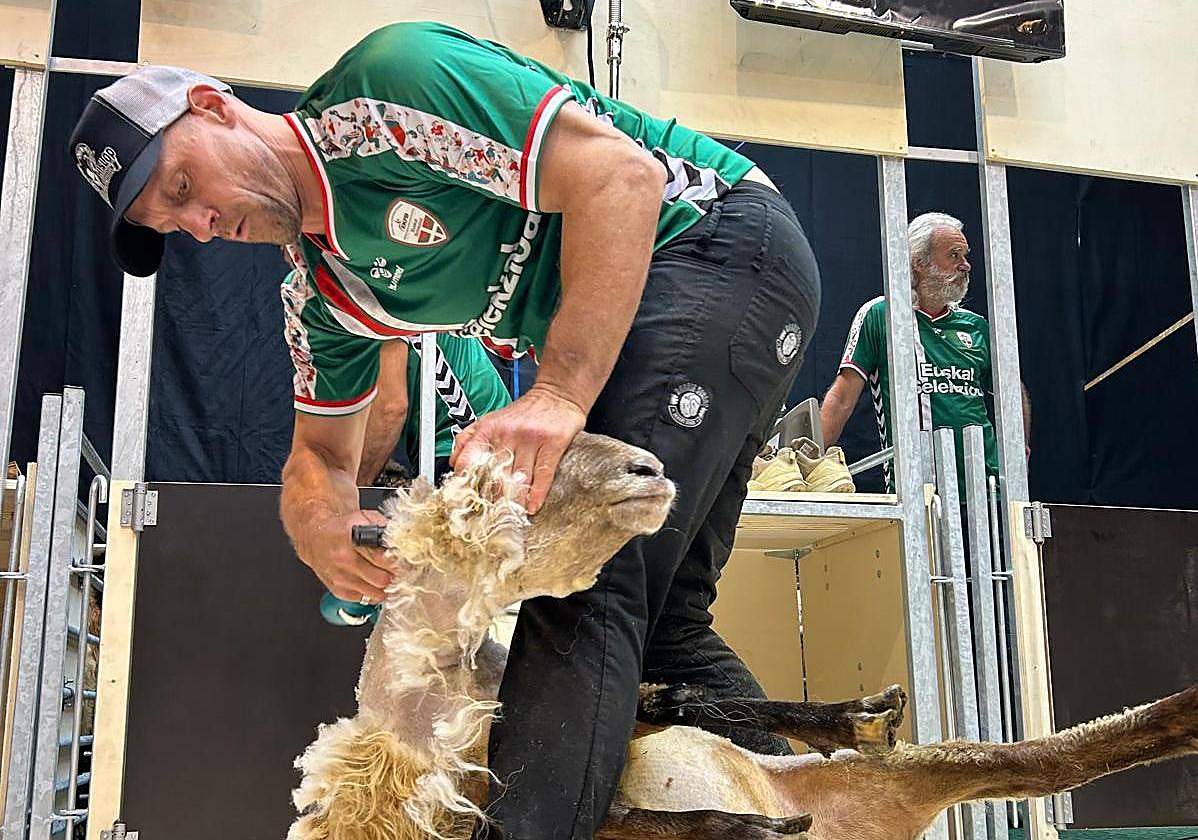 Exhibición de esquiladores en Abadiño