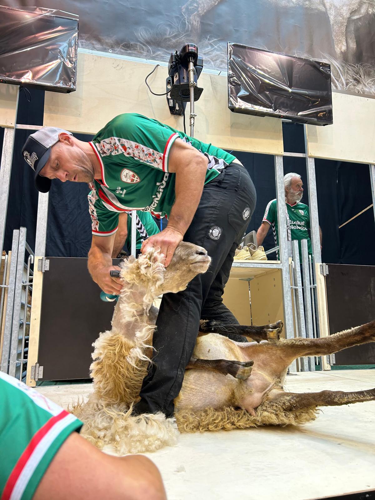 Exhibición de esquiladores en Abadiño