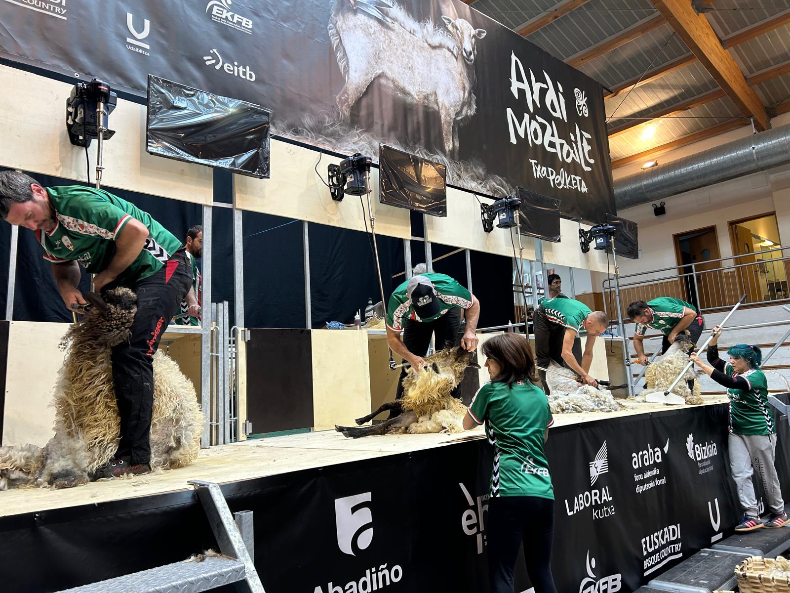 Exhibición de esquiladores en Abadiño