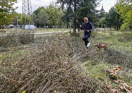 Un joven pasea con su perro en un parque de Arriega lleno de maleza.