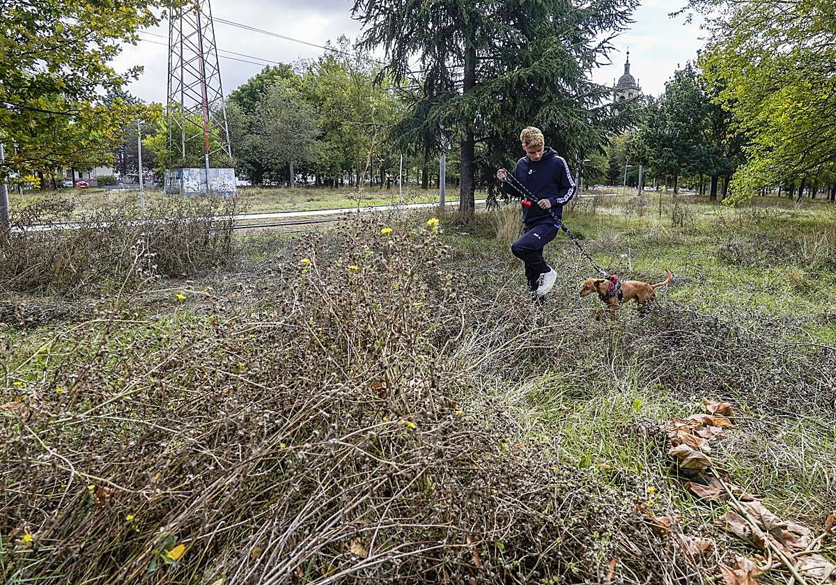 Un joven pasea con su perro en un parque de Arriega lleno de maleza.