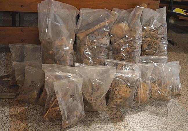 Algunos de los restos aparecieron mezclados y superpuestos entre sí.